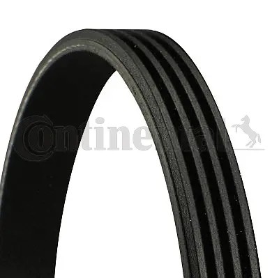 Ribbed belt fits - v-ribbed, fits: