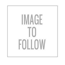 MAHLE 039 24 02 PISTON