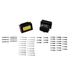 Engine Wiring Harness